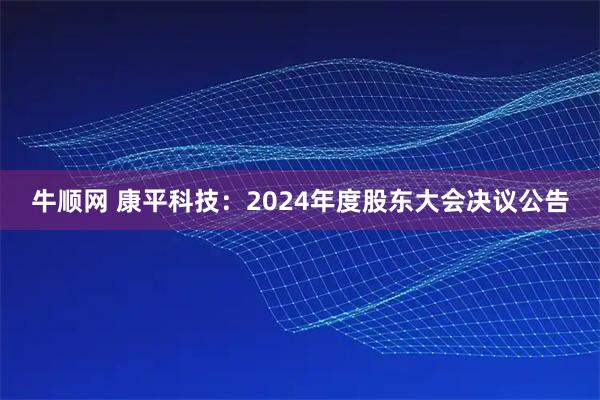 牛顺网 康平科技：2024年度股东大会决议公告