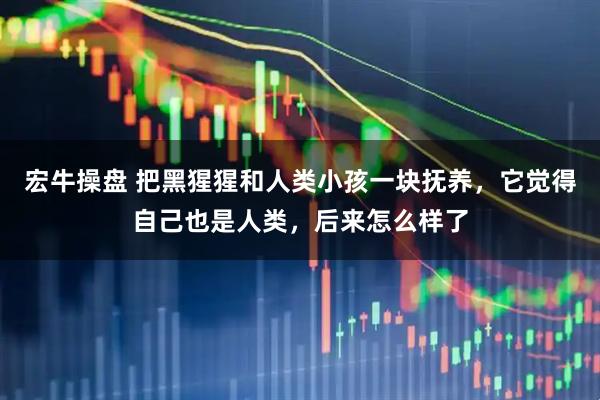 宏牛操盘 把黑猩猩和人类小孩一块抚养，它觉得自己也是人类，后来怎么样了