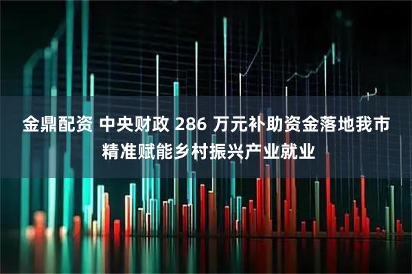 金鼎配资 中央财政 286 万元补助资金落地我市 精准赋能乡村振兴产业就业