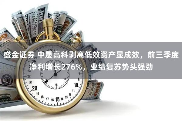 盛金证券 中晟高科剥离低效资产显成效，前三季度净利增长276%，业绩复苏势头强劲